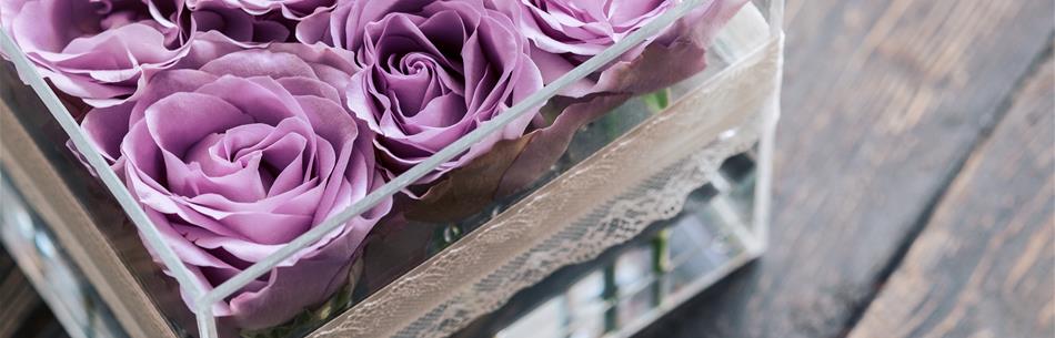 PLASKOLITE Products and Services