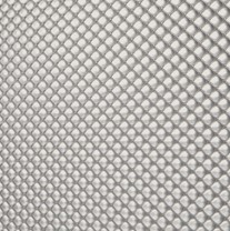 Silvertint Silvertint